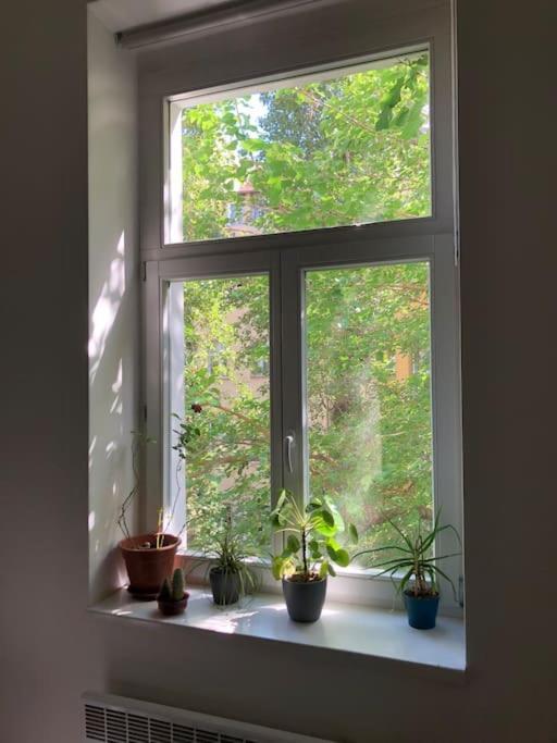 Apartament Cozy Karlin *