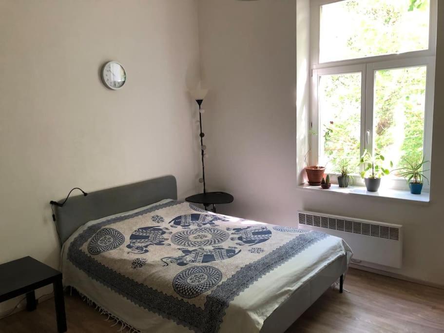 Cozy Karlin Apartament Praga
