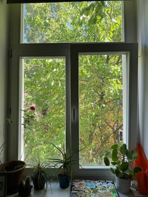 Cozy Karlin Apartament